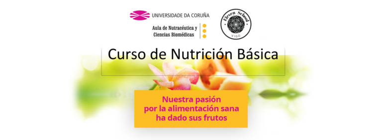 Curso De Nutrición Básica Eleven School 9840